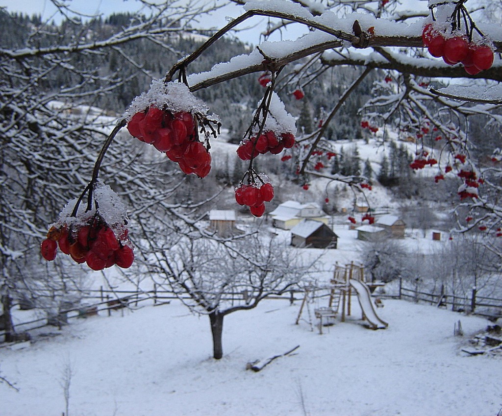 Детская площадка КАЛИНА1