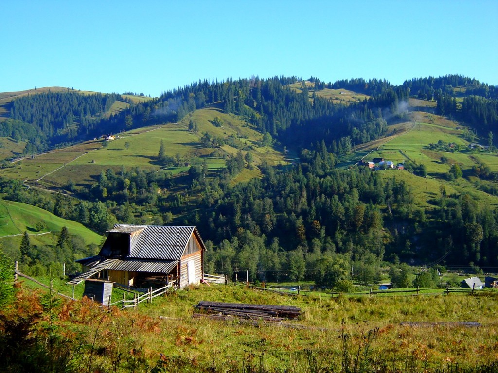 Дом под лесом
