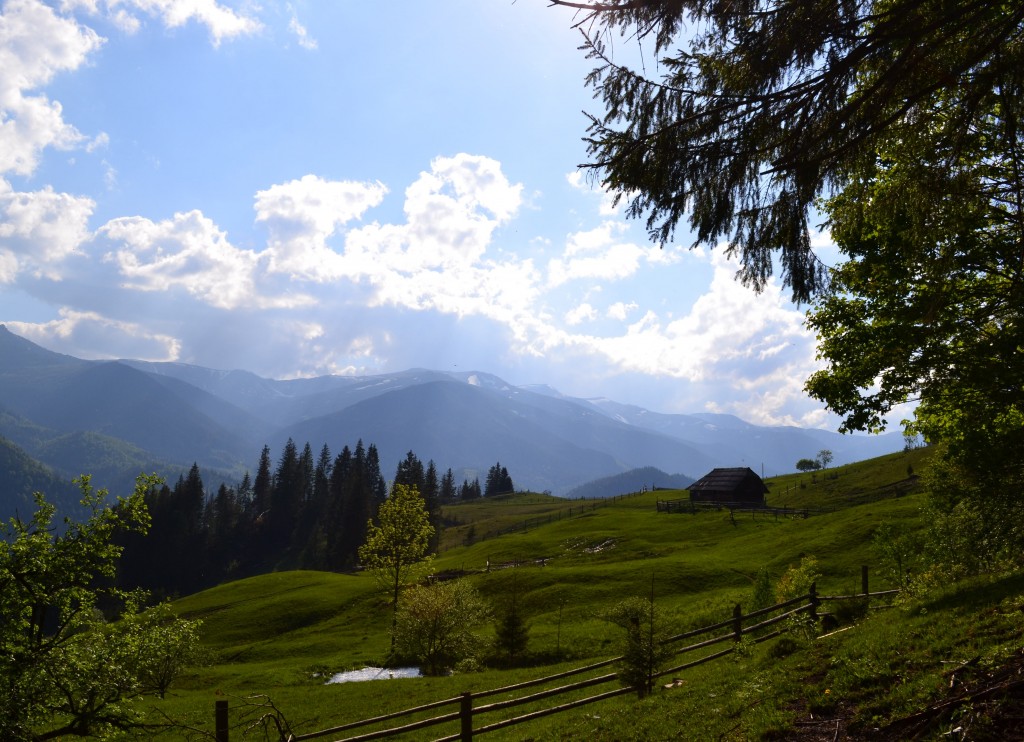   Дземброня летом