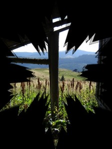 Вырваться из застенков