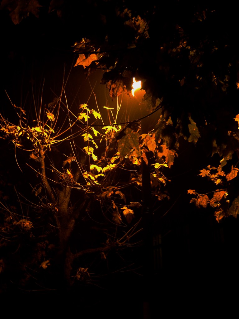 Загадочная ночь