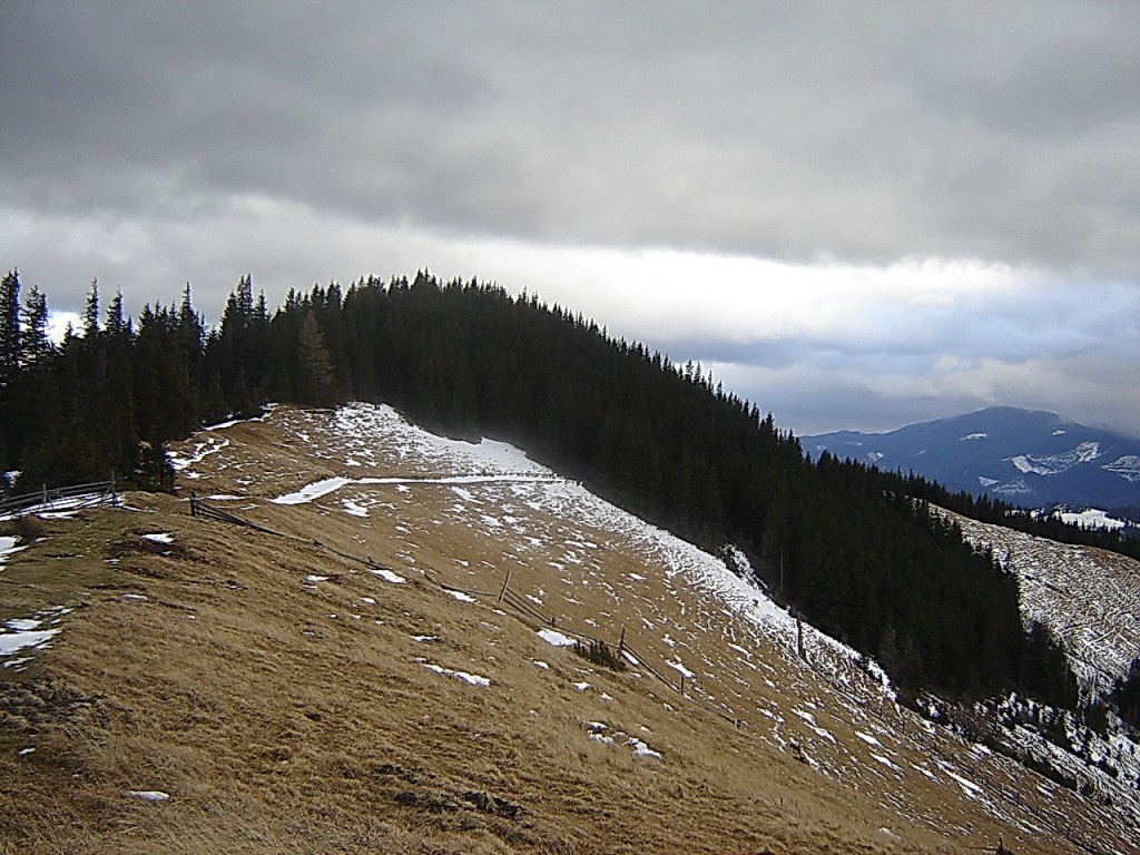  Дорога на Кострычу. Красник