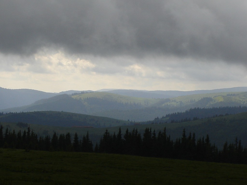 Кажется, дождик собирается...