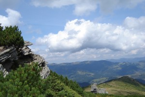 Красень Смотрич