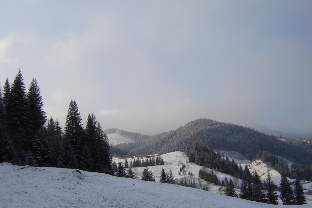 Красота неописуемая