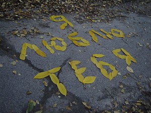 Прими мое признание, осень