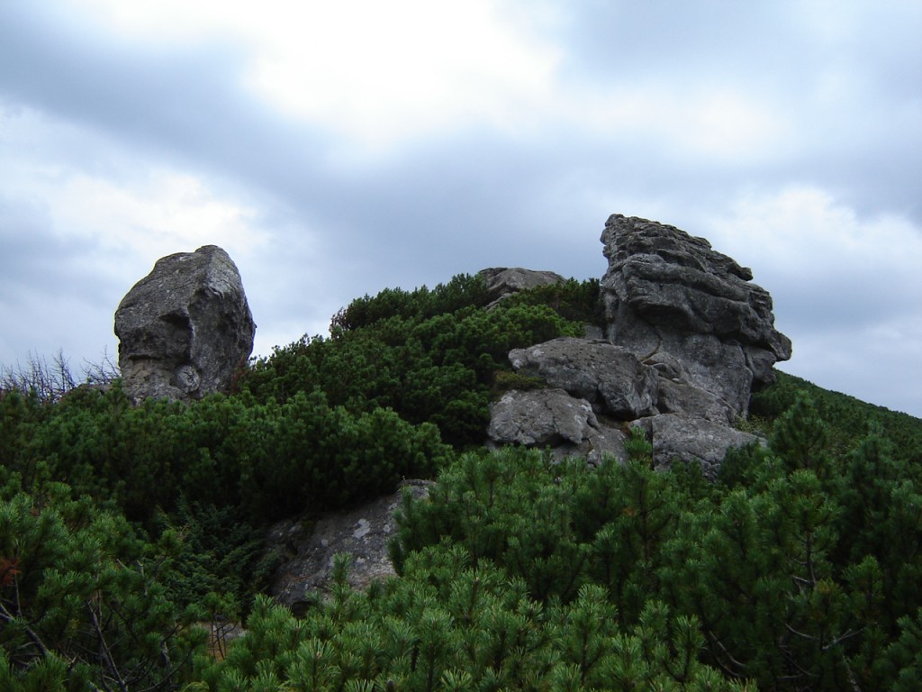 Причудливые формы Смотрича