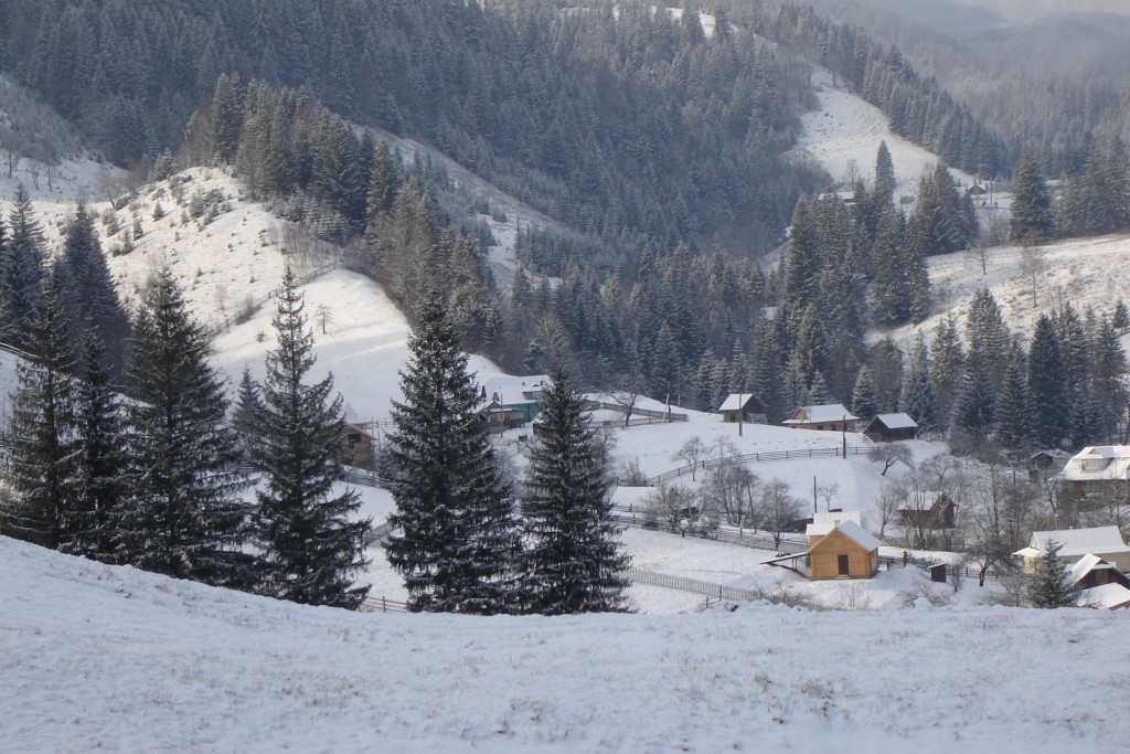 вид на окрестности