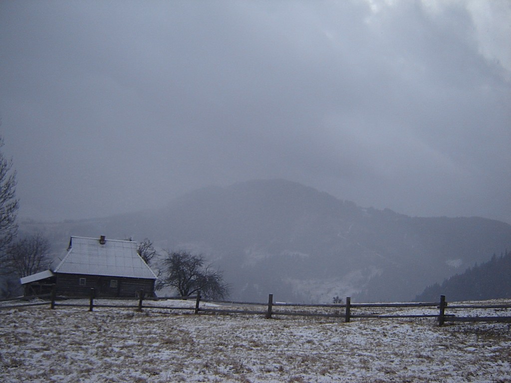 все в тумане