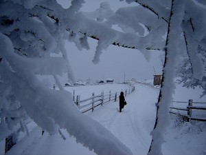 далеко в туалет