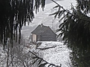 домик меж смереками