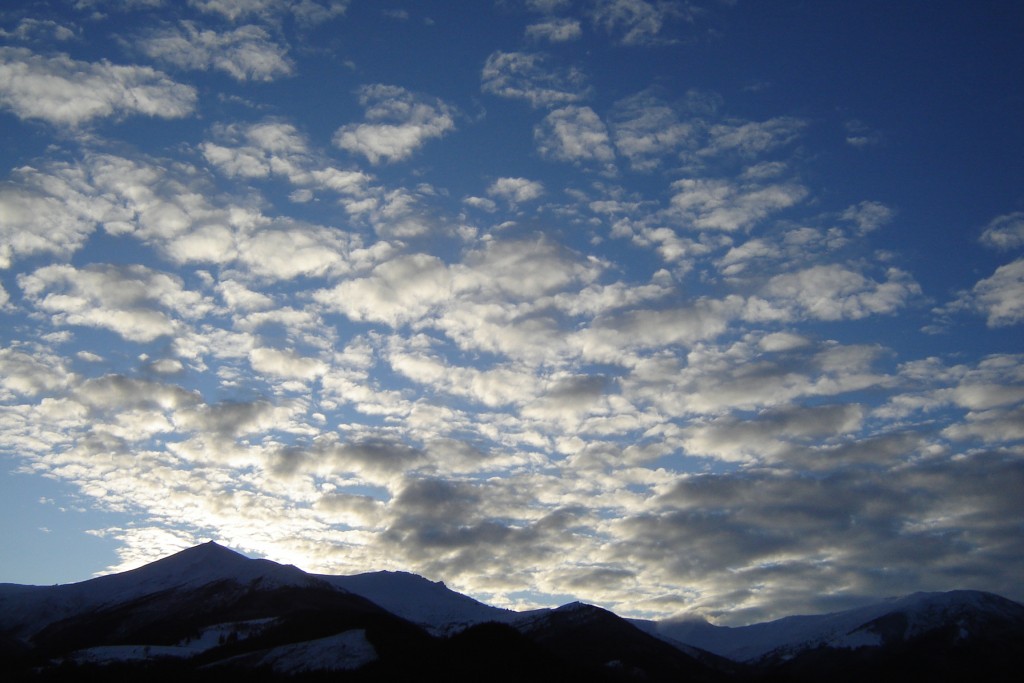 перистіе красоты