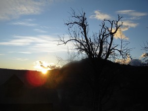 солнце всходит1