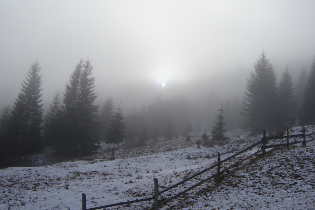 туманная сказка