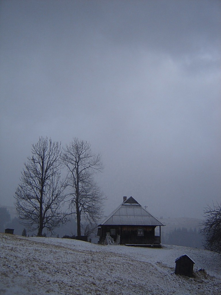 хата и два дерева