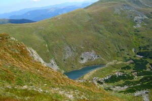 БРЕБЕНЕСКУЛ