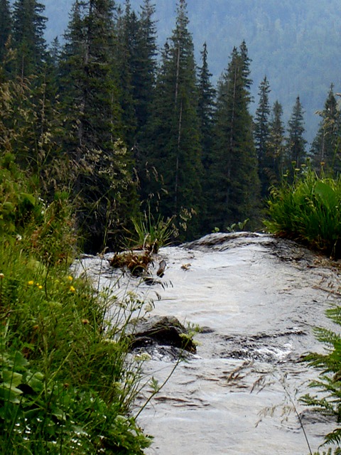 Дорога на Шибене