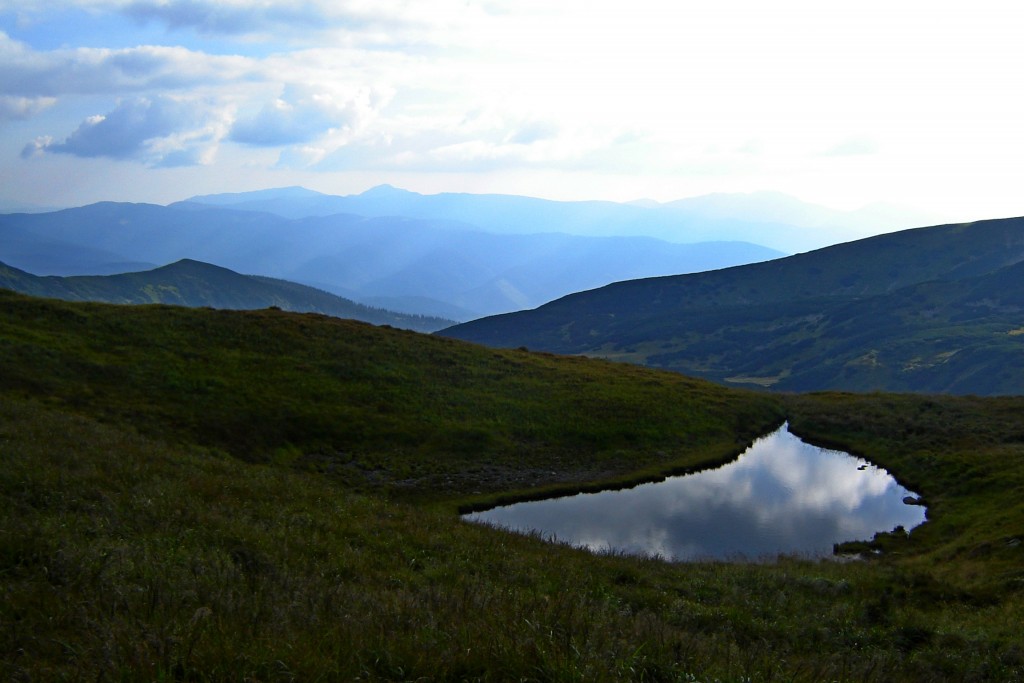 Лужа на Бребенескуле