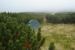 барышня не принмают