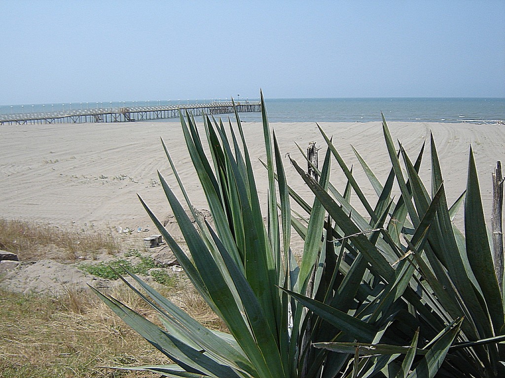 вид на море ЮККА