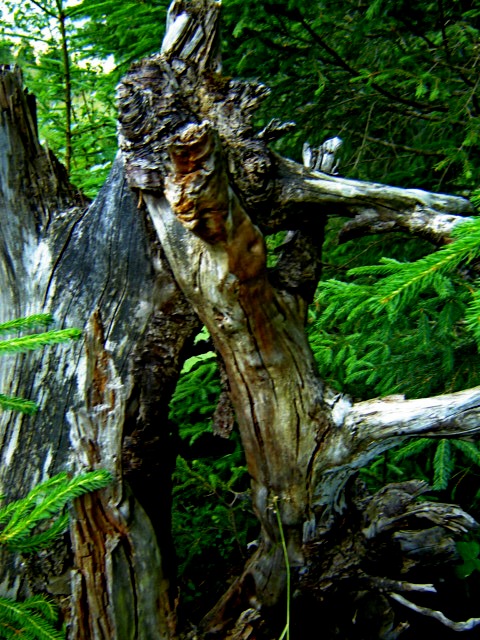 лесная скульптура