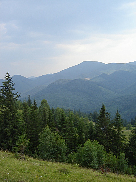 панорама Степанское