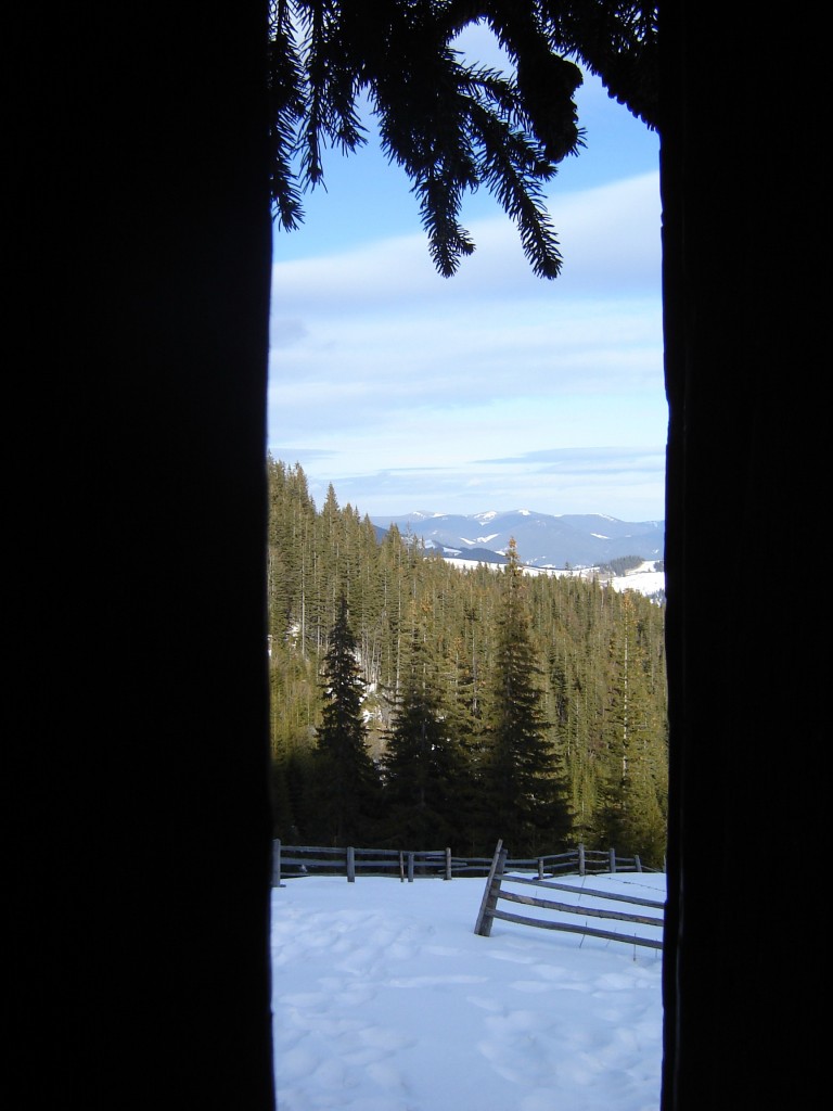 Блаженная тишина