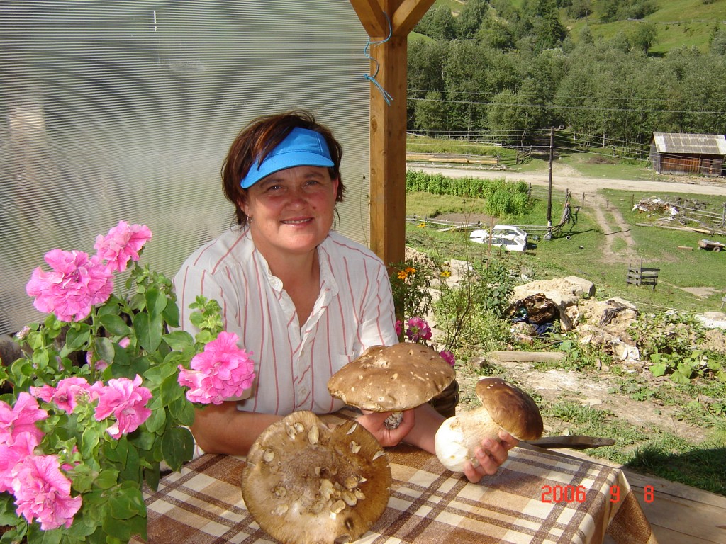 Грибы великаны