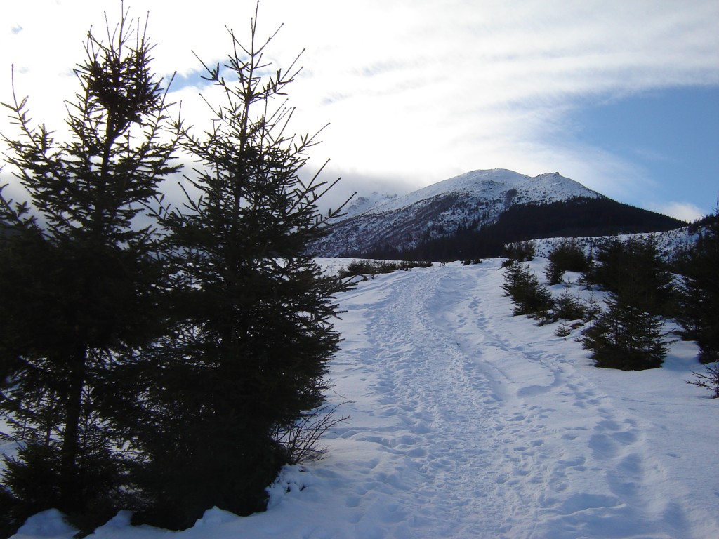 Дорога на Смотрич