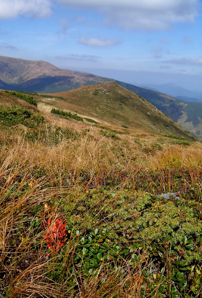 Кому Эверест кому холмик