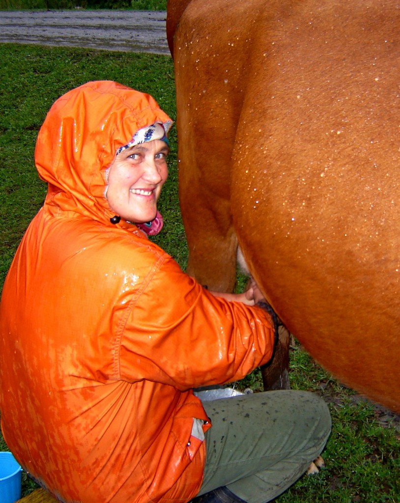 Маричка доит корову