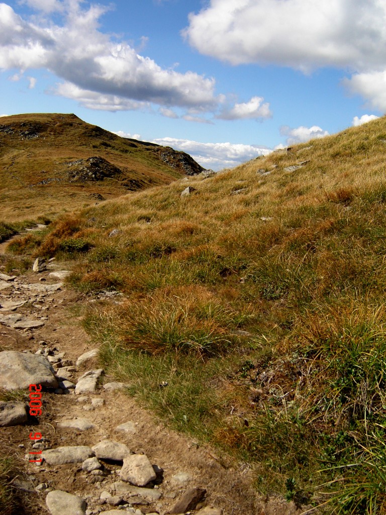 Не зарастет народная тропа