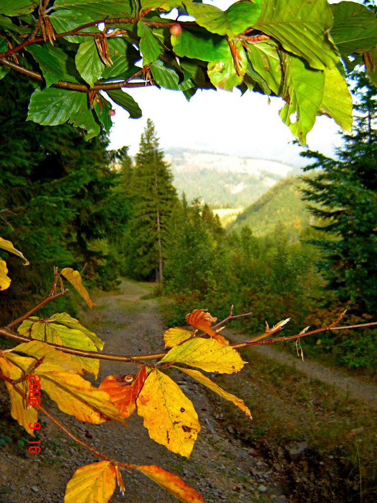 настала осень