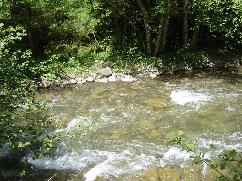 речка Дзембронька