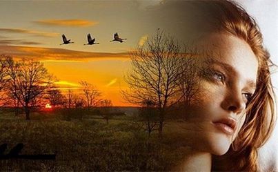 ностальгия