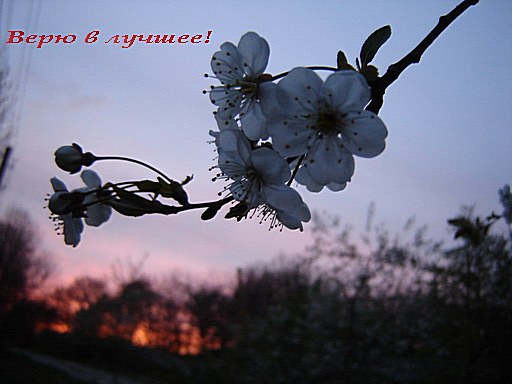 Верю в лучшее